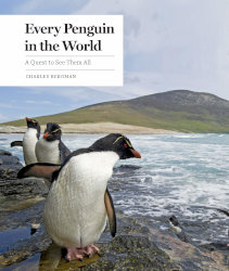 EVERY PENGUIN IN THE WORLD: A Quest to See Them All, a narrative photography book by Charles Bergman
